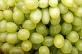 Green grapes Royalty Free Stock Photo