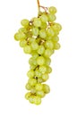 Green grapes