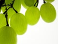 Green grapes Royalty Free Stock Photo