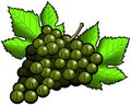 Green Grapes