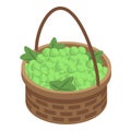 Green grapes basket icon, isometric style Royalty Free Stock Photo