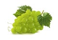 Green grapes bunch isolated on white background Royalty Free Stock Photo