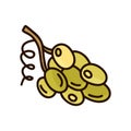 Green grapes. Cartoon isolated icon on white background. Hand drawn vector image. Color doodle illustration for logo. Small bunch Royalty Free Stock Photo