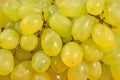 Green grapes close up