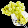 Green grapes close-up Royalty Free Stock Photo