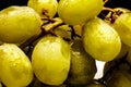 Green Grapes