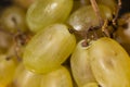 Green grapes detail background