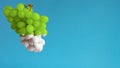 From green grapes dripping white paint, panorama