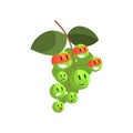 Green Grapes In Face Masks, Part Of Vegetables In Fantasy Disguises Series Of Cartoon Silly Characters