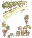 Green grapes field landscape frame illustration, harvest and wine bottle. Watercolor hand painted grapes and wooden barel. Italian Royalty Free Stock Photo