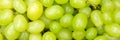 Green grapes grape fruits fruit background from above panorama