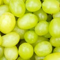 Green grapes grape fruits fruit background from above square