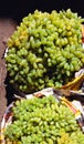 Green grapes, India Royalty Free Stock Photo