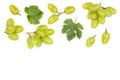 Green grapes isolated on the white background with copy space for your text. Top view. Flat lay pattern