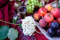 Green grapes, plums, peaches, nectarines, jugs, a glass of wine, white hydrangea, a Dutch still life on a silk tablecloth, with