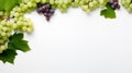 Green grapes on a white background with space for your text Royalty Free Stock Photo