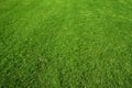 Green grass