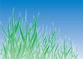 Green grass Royalty Free Stock Photo