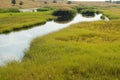 Green grass Royalty Free Stock Photo