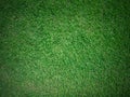 Green grass abstract background or texture. Golf or football field