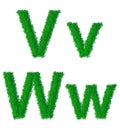 Green grass alphabet Royalty Free Stock Photo
