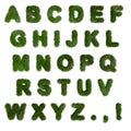 Green Grass Alphabet. English letters. Font. 3d render