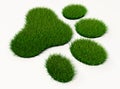 Green grass animal footprint Royalty Free Stock Photo