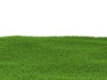 Green grass background