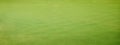 Green grass background Royalty Free Stock Photo