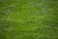 green grass background, football field textured background Royalty Free Stock Photo