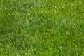 green grass background, football field textured background Royalty Free Stock Photo