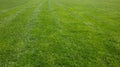 green grass background, football field textured background Royalty Free Stock Photo