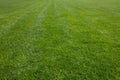 green grass background, football field textured background Royalty Free Stock Photo