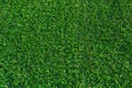 Green grass background. Lawn, football field, green grass artificial turf, texture, top view Royalty Free Stock Photo