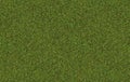 green grass background for photoshop for editing