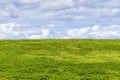 Green grass background showing an horizon of cumulous fluffy clouds with a blue sky in an agricultural pasture field Royalty Free Stock Photo