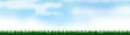 Green grass background on summer time Royalty Free Stock Photo