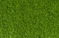 Green grass background texture. Top view Royalty Free Stock Photo