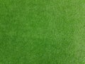 Green grass background texture, top view Royalty Free Stock Photo