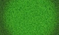 Green grass background vignette or the naturally walls texture . Top view Fresh green lawns for background, backdrop or wallpaper