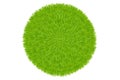 Green Grass Ball. Vector