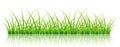 Green grass banner, on white