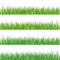 Green grass banners set. Backgrounds. Vector illustration.