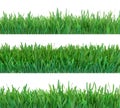 Green grass banners set. Nature background. Meadow. Spring, summer season. Plant growth 3d rendering.