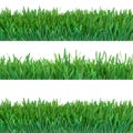 Green grass banners set. Nature background. Meadow. Spring, summer season. Plant growth 3d rendering.