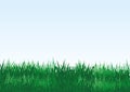 Green grass on a blue background.