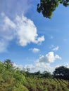 Green grass on blue clear sky, spring nature panorama Royalty Free Stock Photo