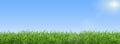 Green grass on blue clear sky, spring nature theme. Panorama Royalty Free Stock Photo