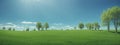 Green grass on blue clear sky, spring nature theme. Panorama Royalty Free Stock Photo