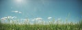 Green grass on blue clear sky, spring nature theme. Panorama Royalty Free Stock Photo